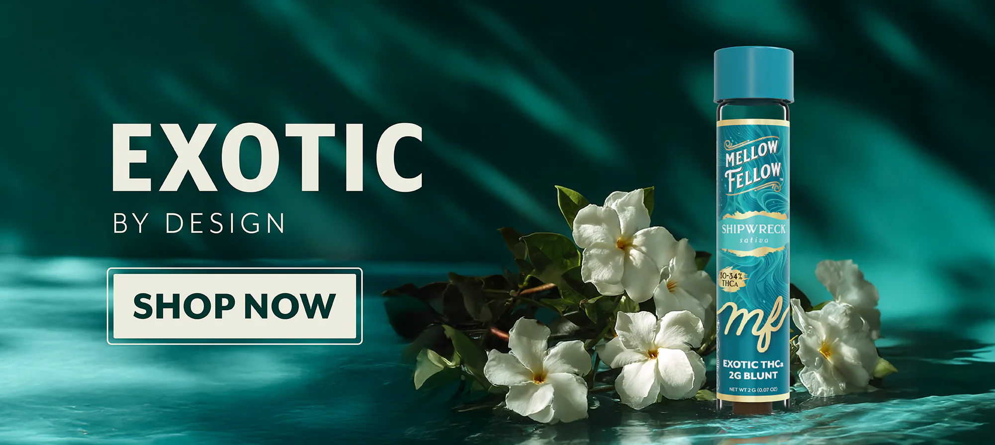 Elevate Your Vibe with Precision